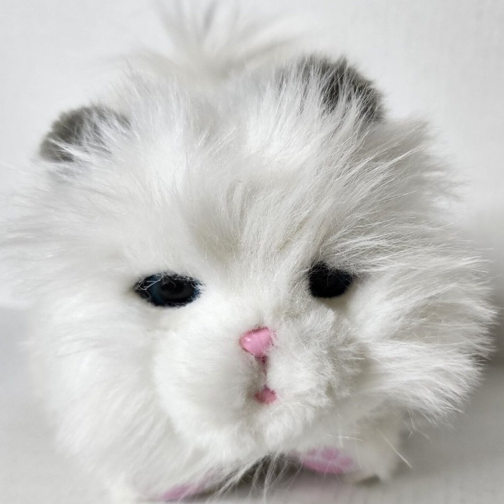 Little Live Pets Cuddles My Dream Kitten White Interactive Cat Plush 10"